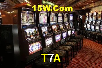 T7A Salvador - Support